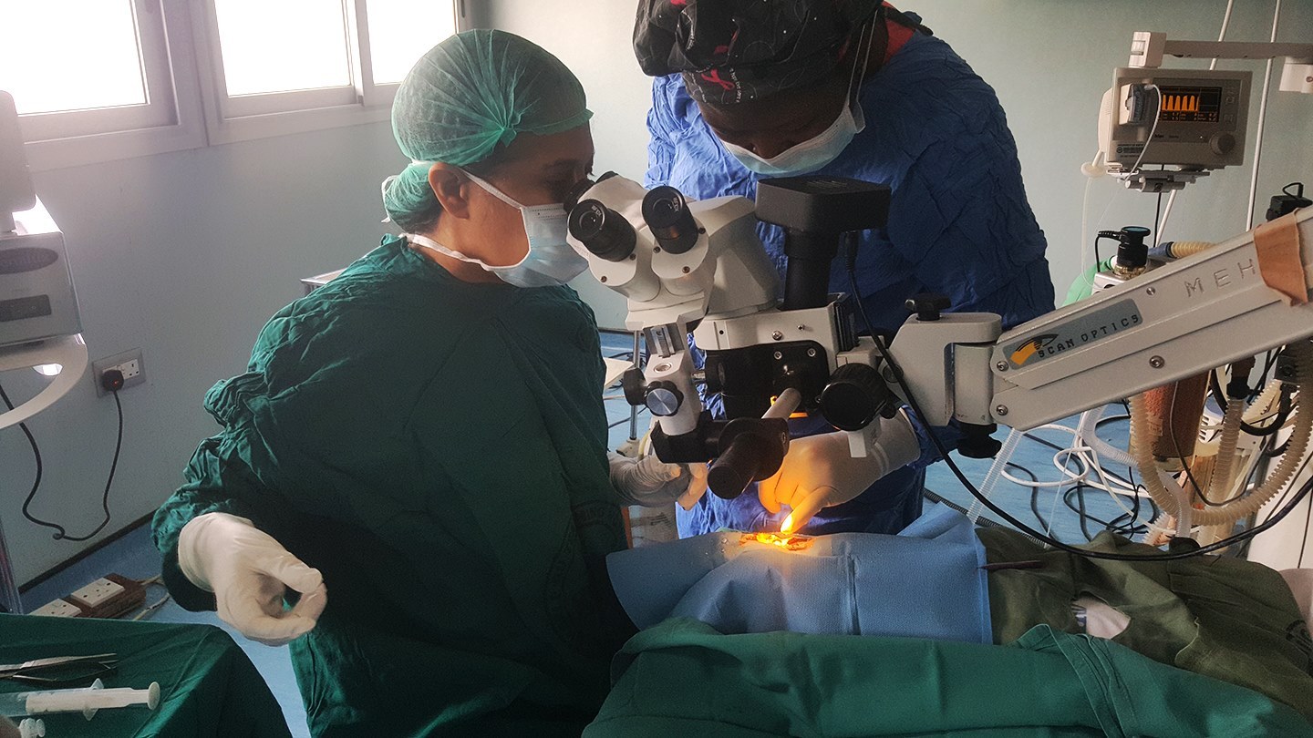 47431263 2235911069775340 1285075891663142912 n