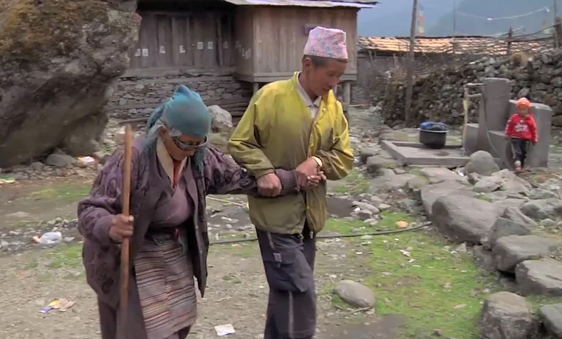 Img bringing sight video