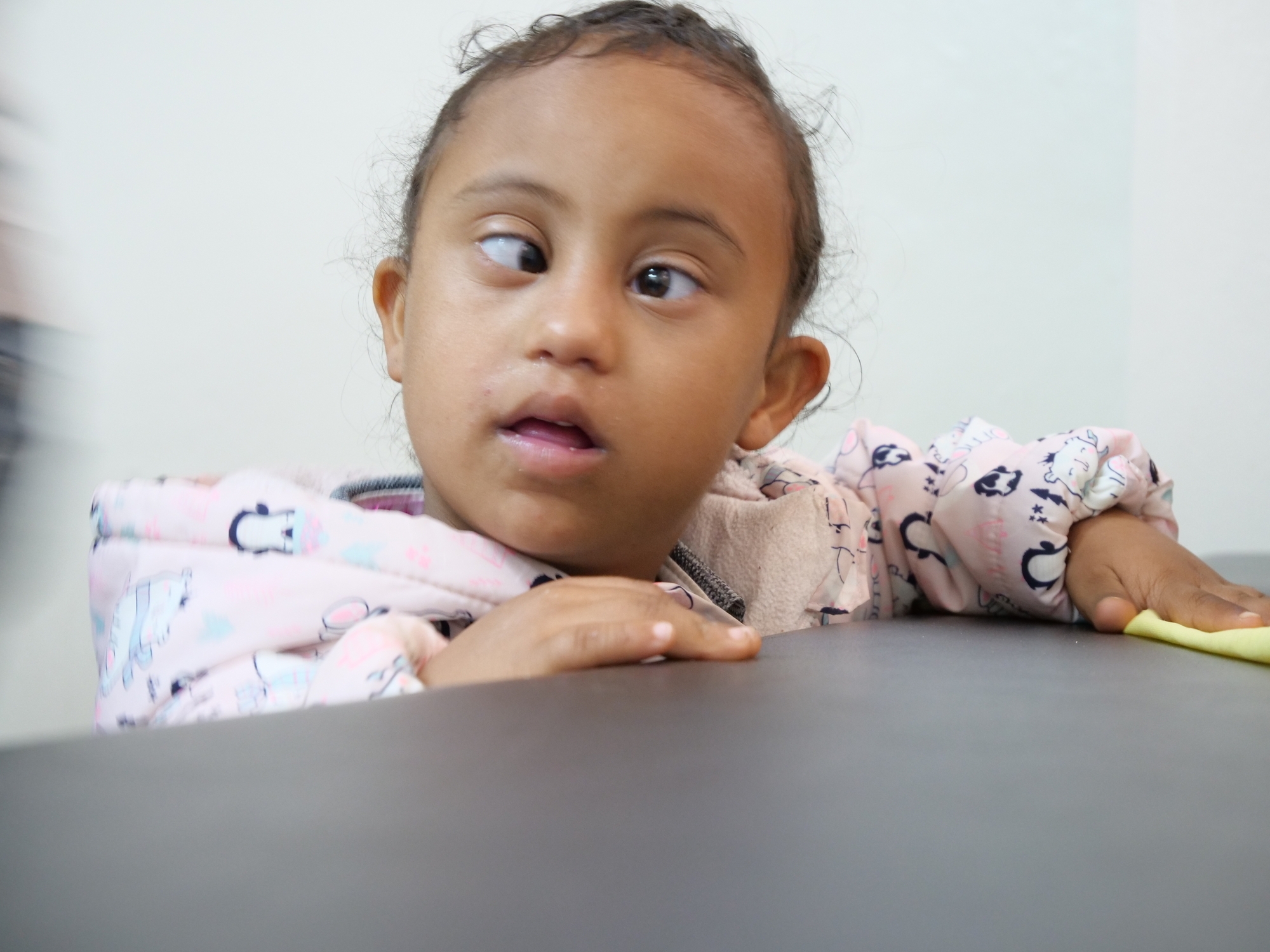 P1337608 2000x1500 cc6e97b8 577a 4f9c b08e 361586cf6771