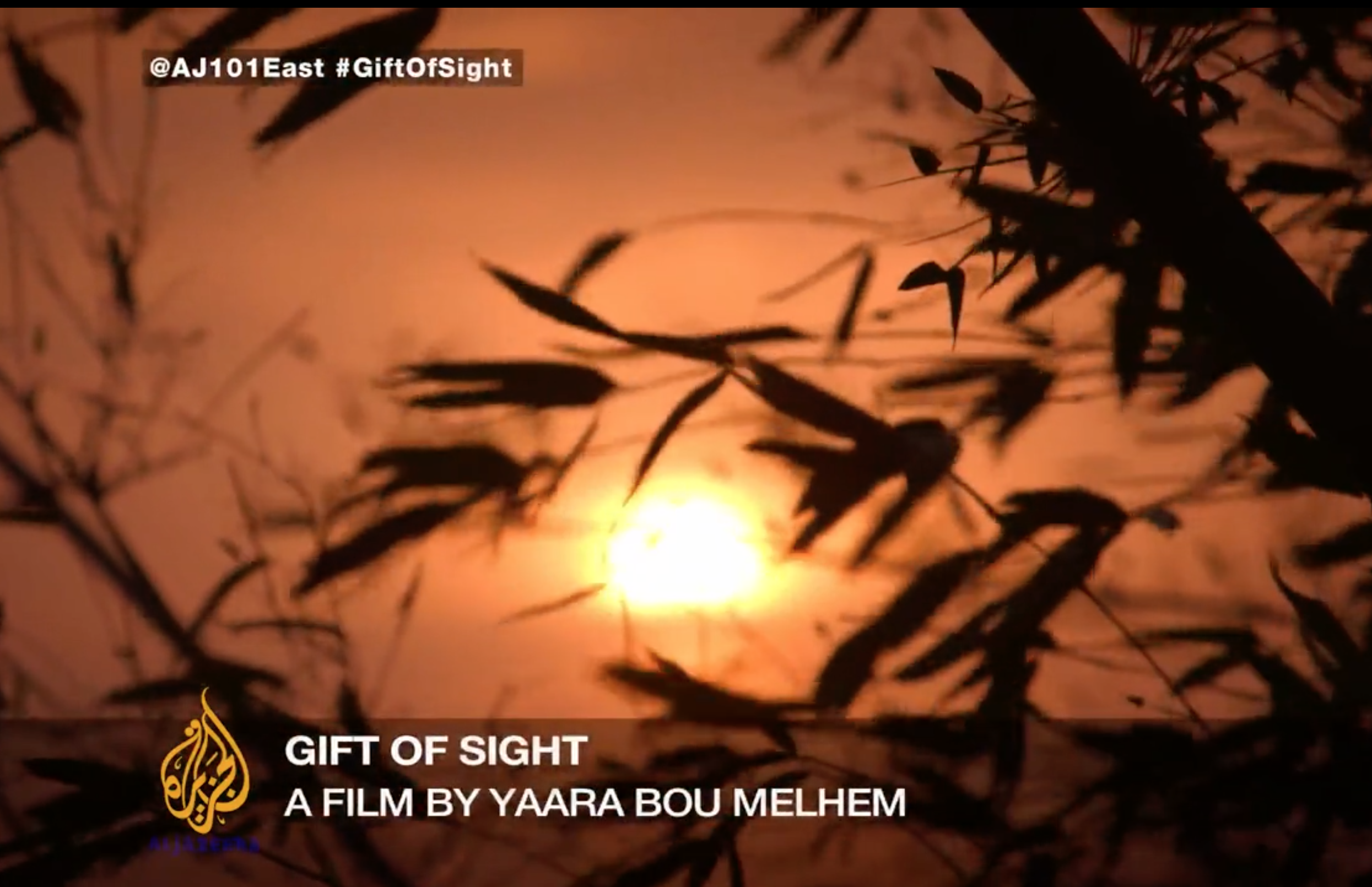 Screen Shot 2016 02 16 at 8 32 53 AM